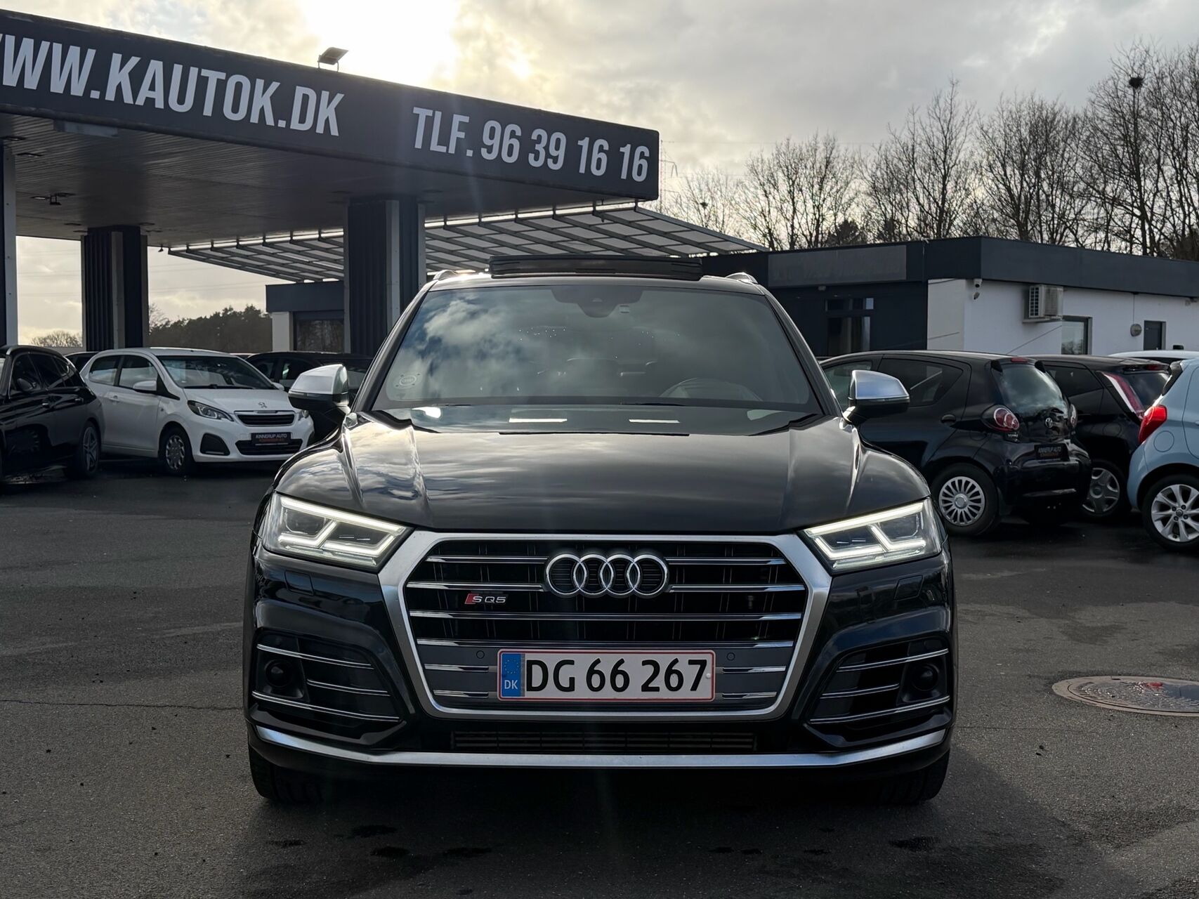 Billede af Audi SQ5 3,0 TFSI Quattro Tiptr. 354HK 5d 8g Aut.