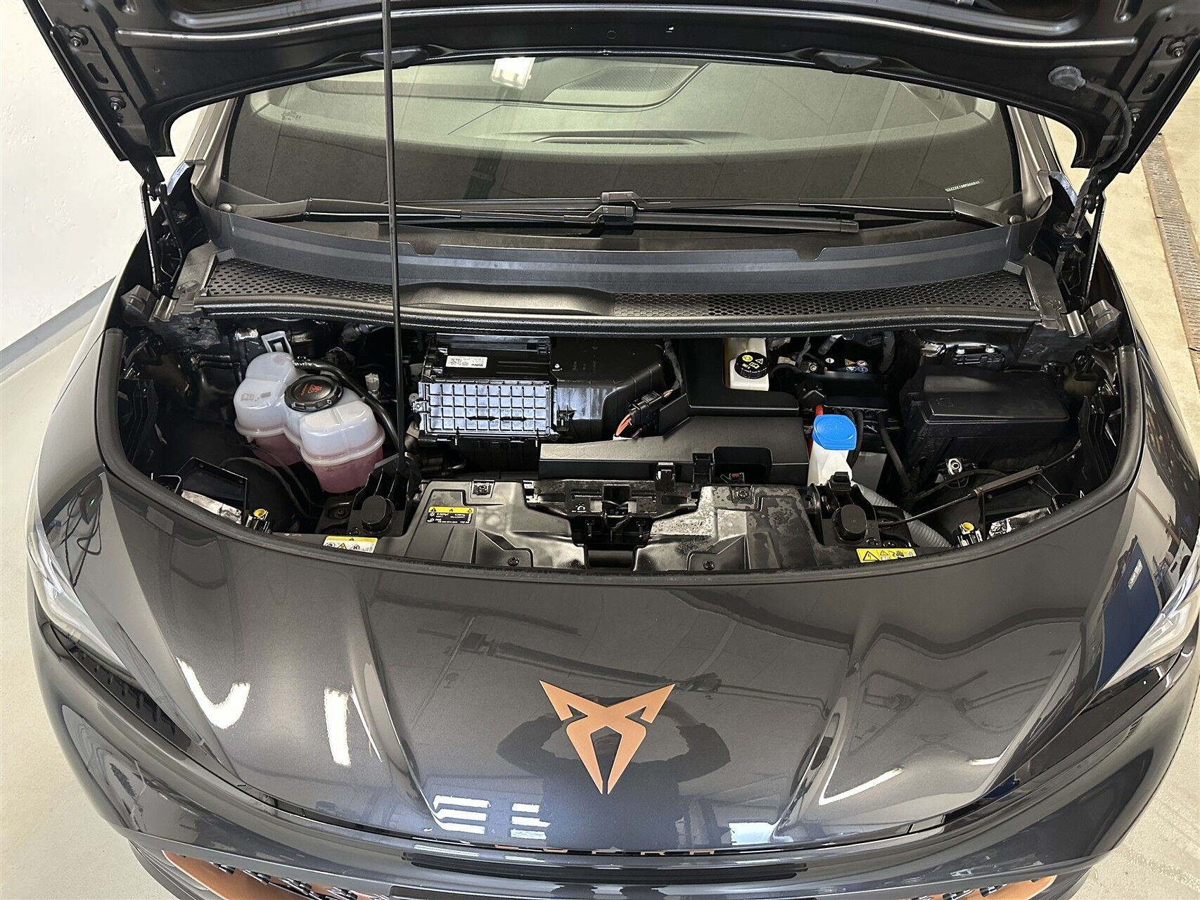 Billede af Cupra Born EL e-Boost 231HK 5d Aut.