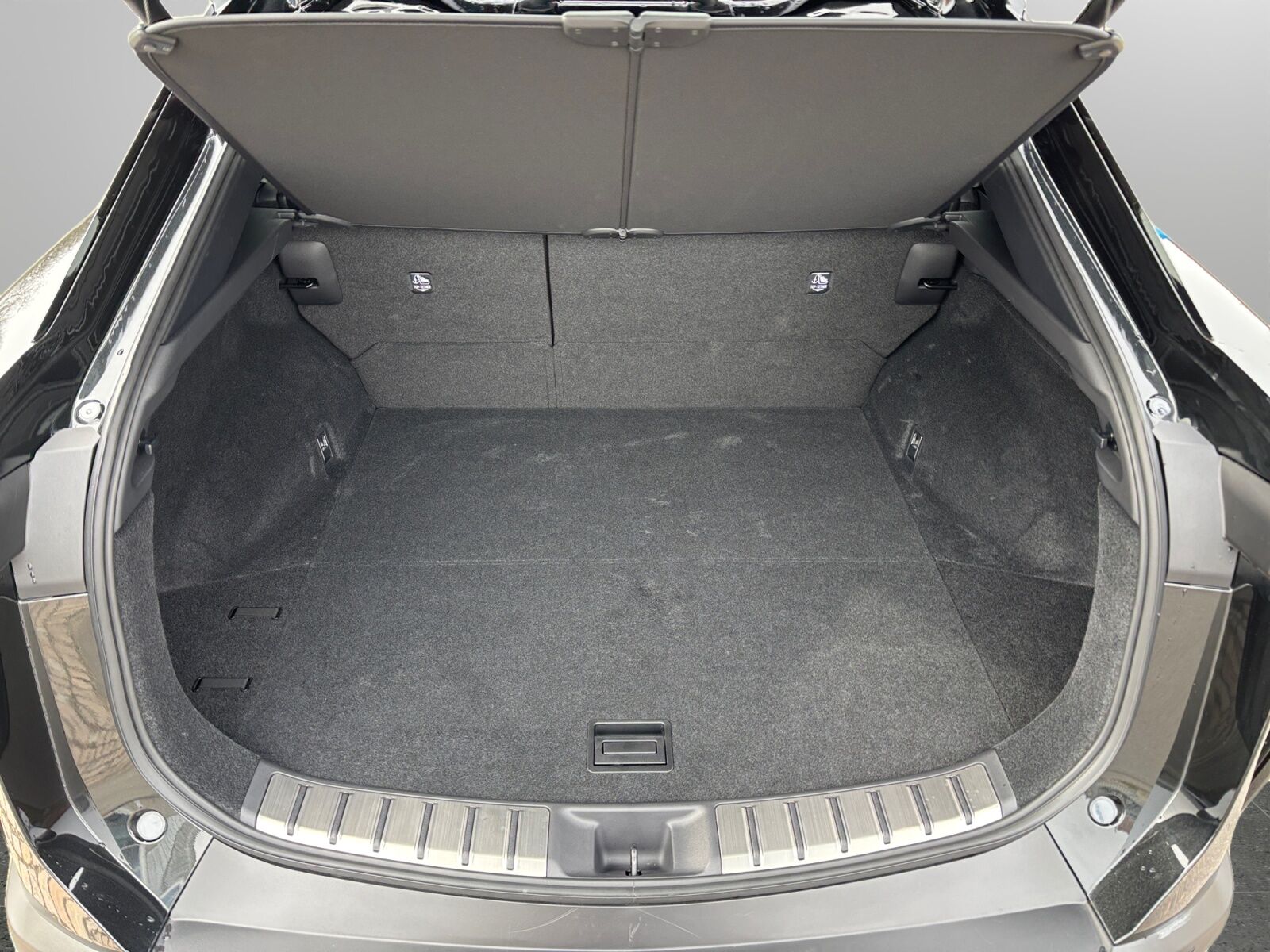 Billede af Lexus RZ 300e EL Executive 204HK 4d Aut.