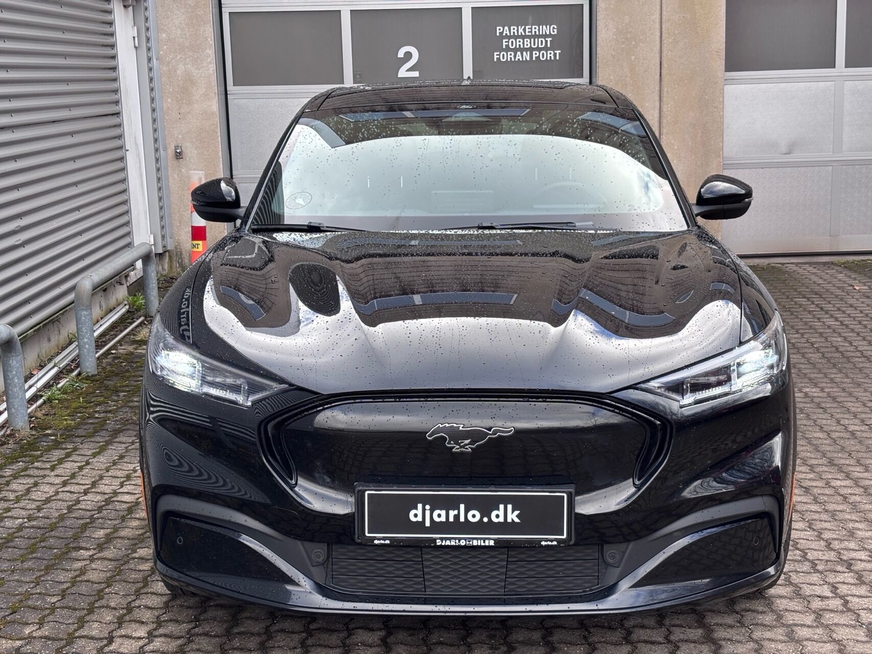 Billede af Ford Mustang Mach-E EL SR AWD 315HK 5d Aut.