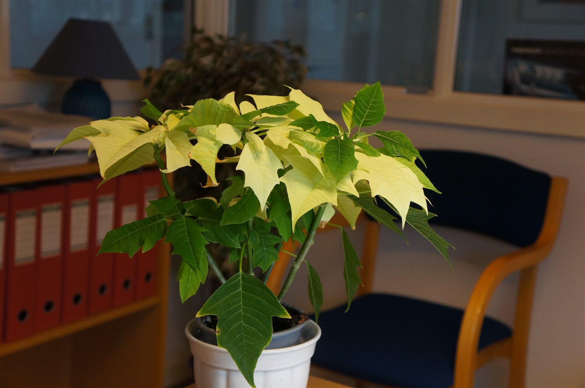 Billede af Citroën C3 1,2 PureTech Feel+ 82HK 5d