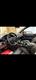 Billede af Porsche Cayenne Turbo 4,0 4WD Tiptr. 550HK 5d 8g Aut.