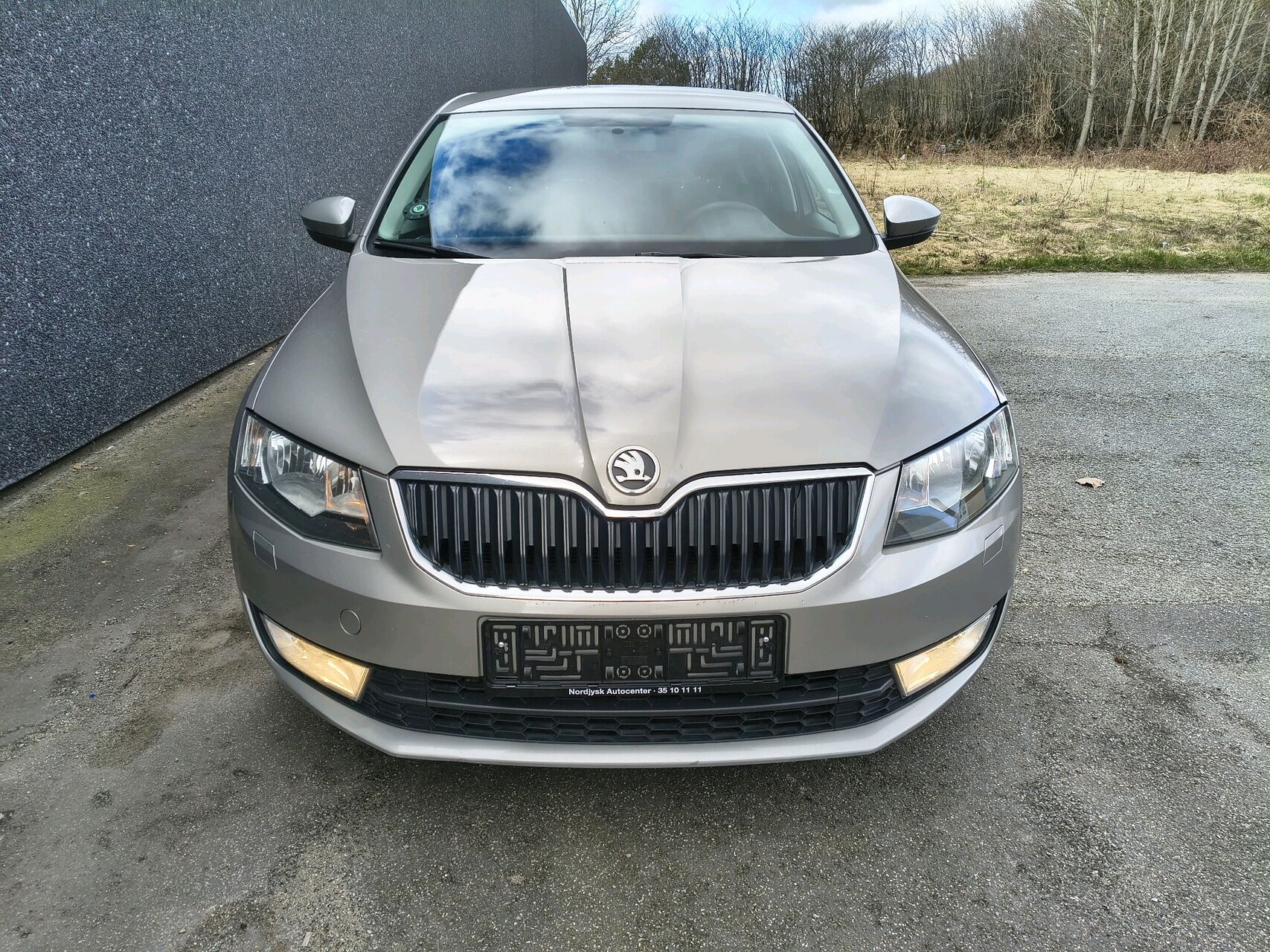 Billede af Skoda Octavia 1,6 TDI Common Rail DPF Ambition 105HK 5d