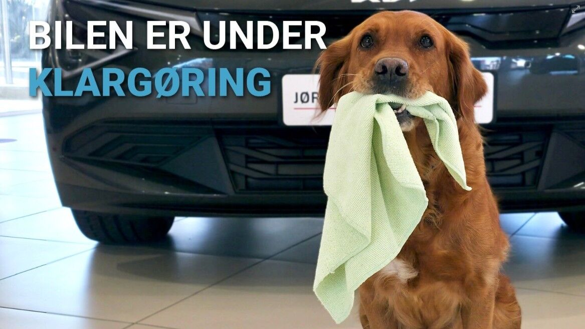 Billede af MG EHS 1,5 T GDI  Plugin-hybrid Luxury 258HK 5d 10g Aut.