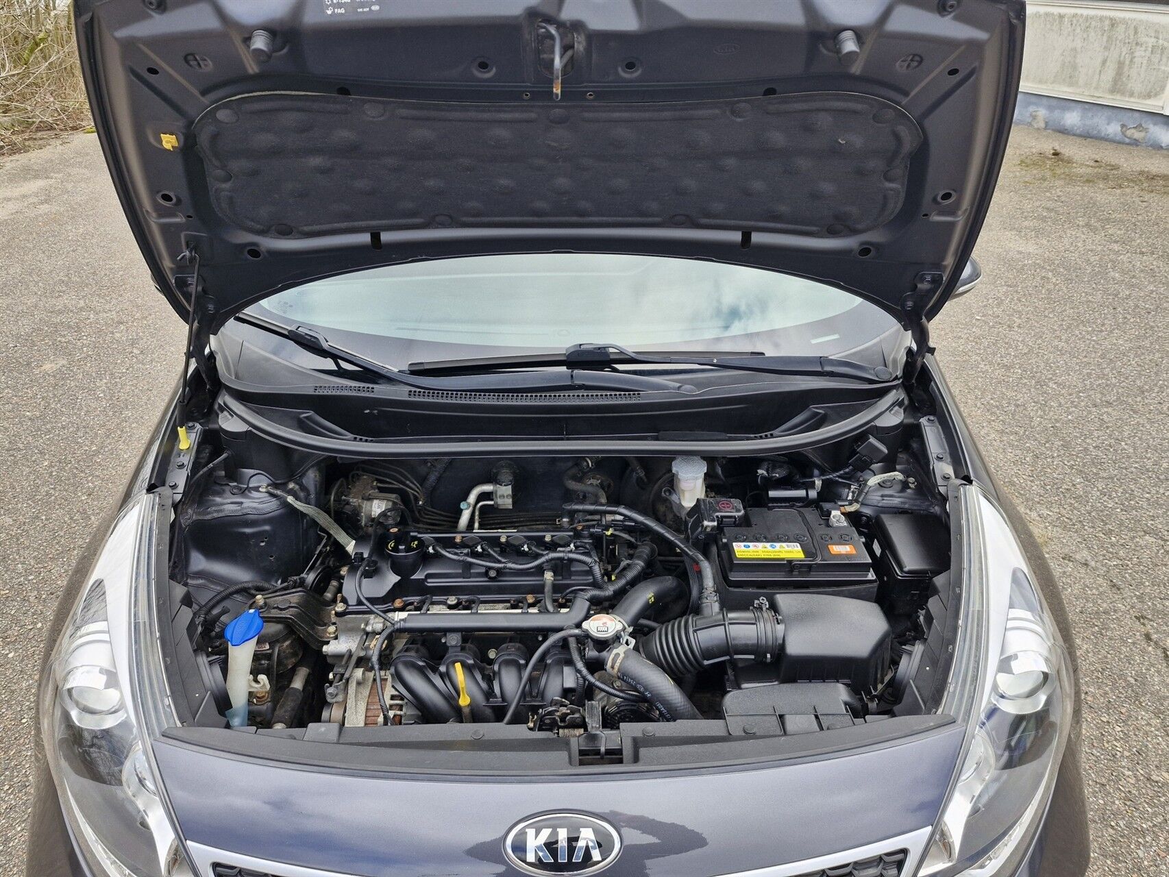 Billede af Kia Rio 1,2 CVVT Attraction Plus 85HK 5d