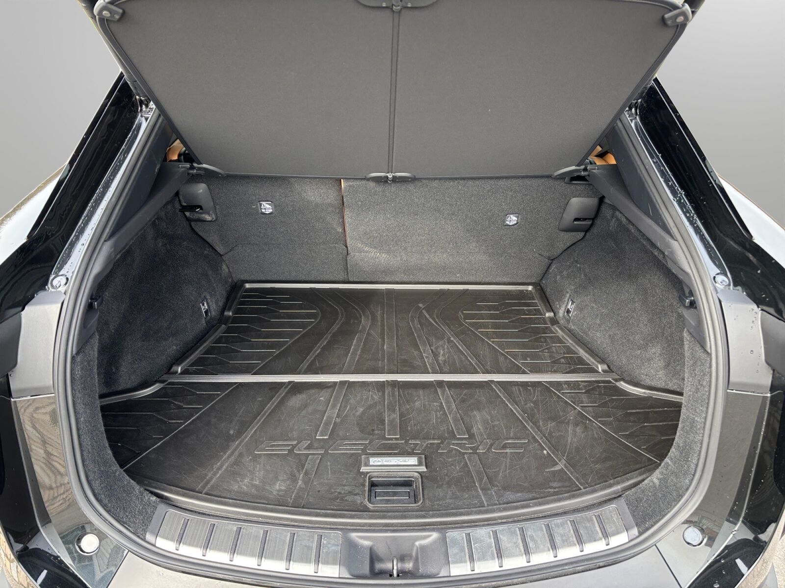 Billede af Lexus RZ 300e EL Executive 204HK 4d Aut.