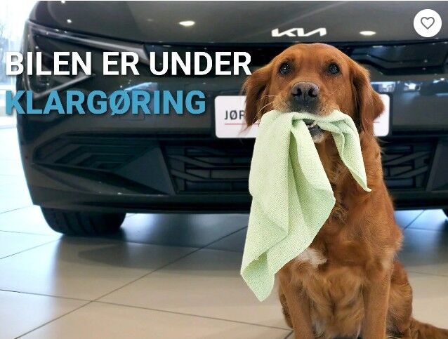 Billede af Hyundai i20 1,0 T-GDI Essential Komfort DCT 100HK 5d 7g Aut.