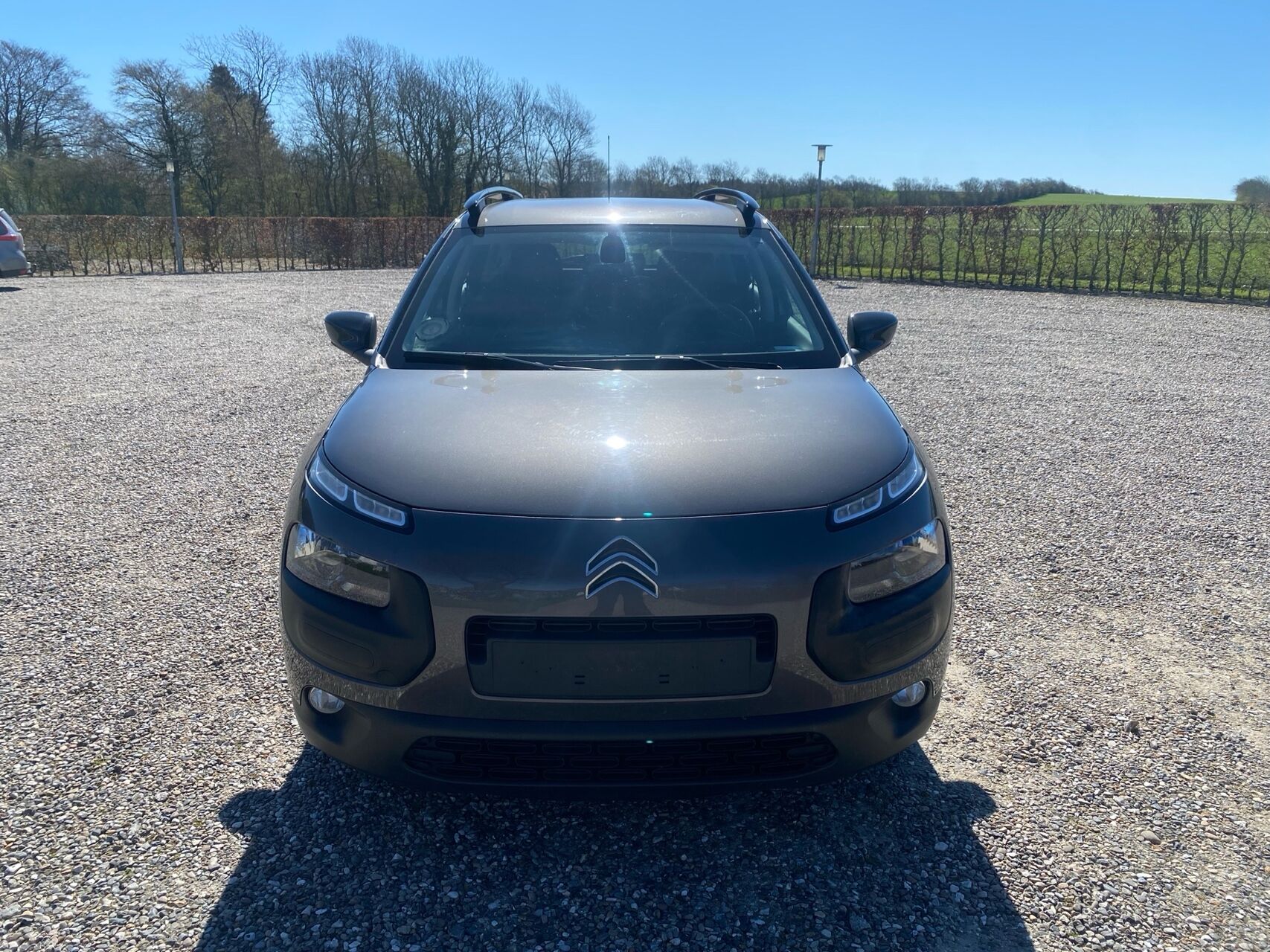 Billede af Citroën C4 Cactus 1,6 Blue HDi Iconic start/stop 100HK 5d