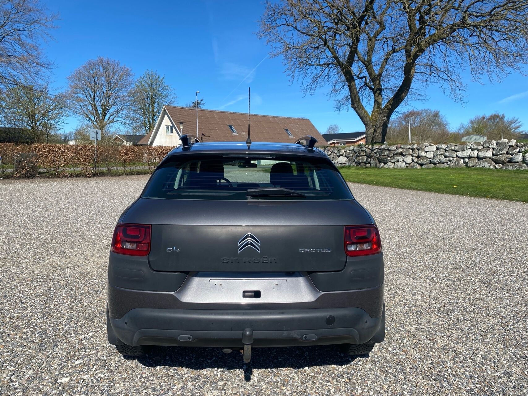 Billede af Citroën C4 Cactus 1,6 Blue HDi Iconic start/stop 100HK 5d