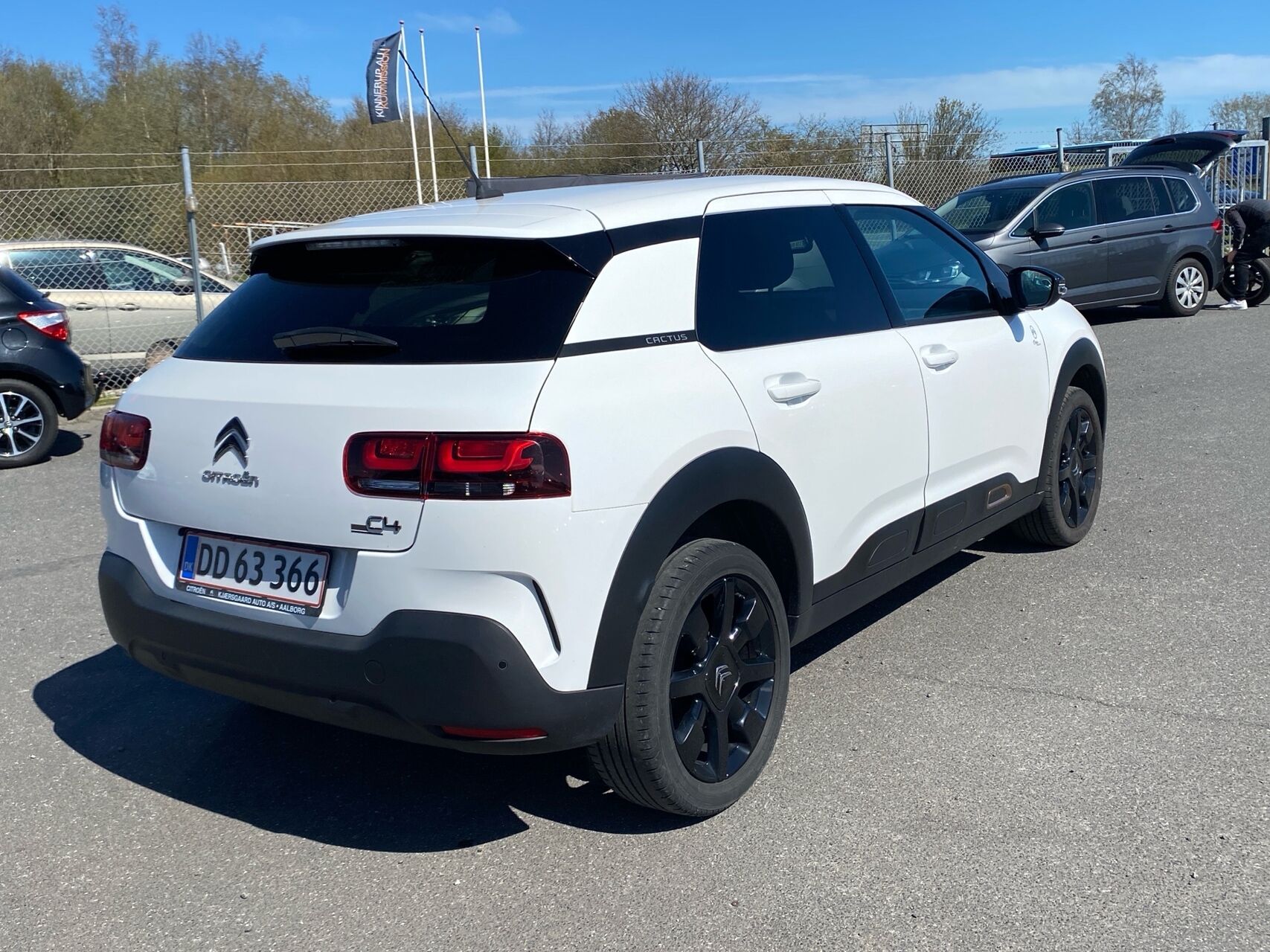Billede af Citroën C4 Cactus 1,5 Blue HDi Origins 100HK 5d