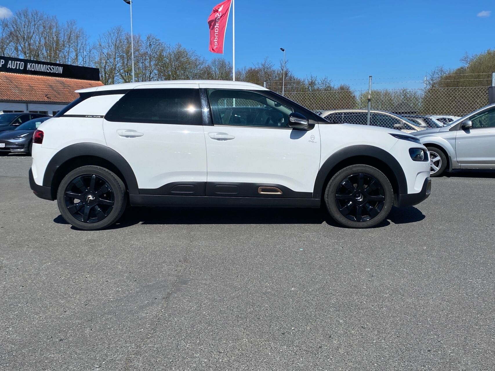 Billede af Citroën C4 Cactus 1,5 Blue HDi Origins 100HK 5d