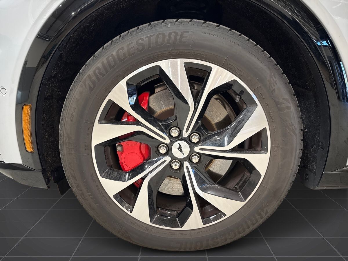 Billede af Ford Mustang Mach-E EL UR Premium AWD 351HK 5d Aut.