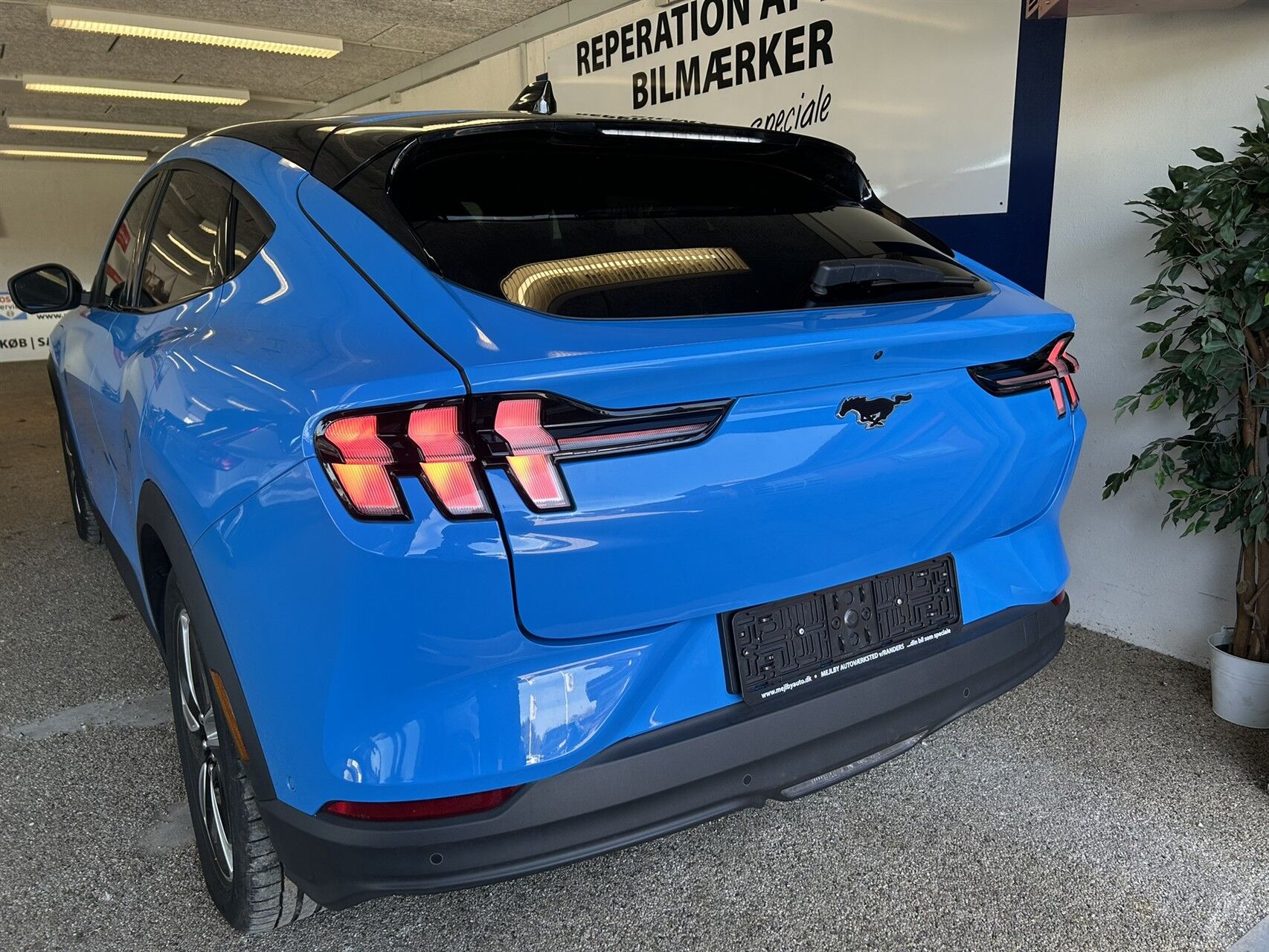 Billede af Ford Mustang Mach-E EL SR 269HK 5d Aut.