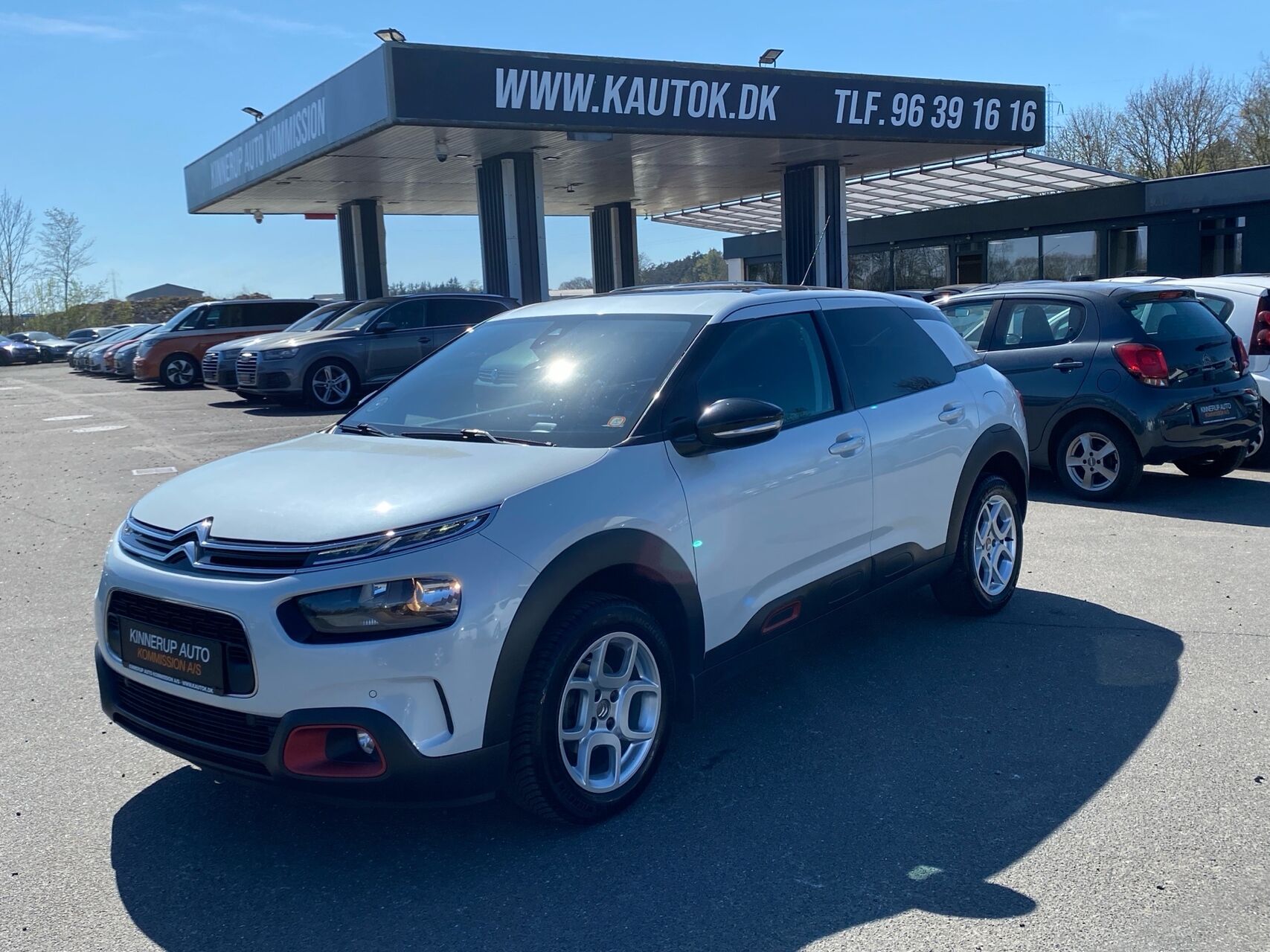 Billede af Citroën C4 Cactus 1,6 Blue HDi Skyline 100HK 5d