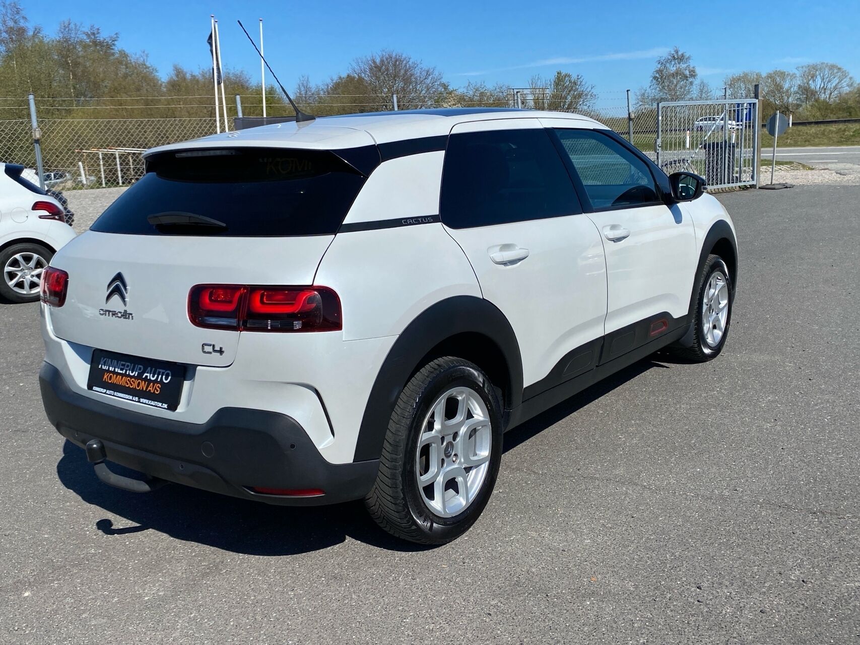 Billede af Citroën C4 Cactus 1,6 Blue HDi Skyline 100HK 5d