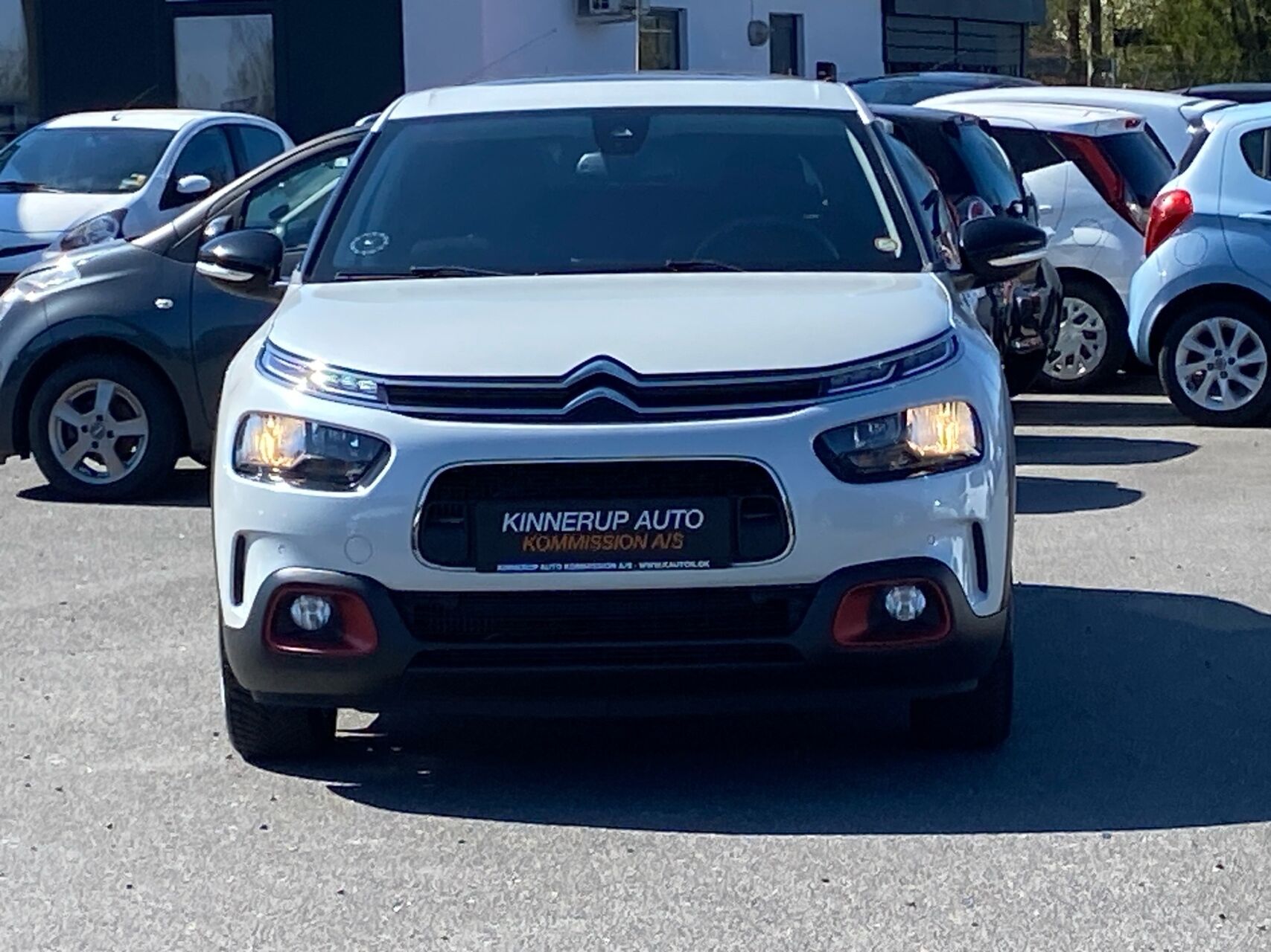 Billede af Citroën C4 Cactus 1,6 Blue HDi Skyline 100HK 5d