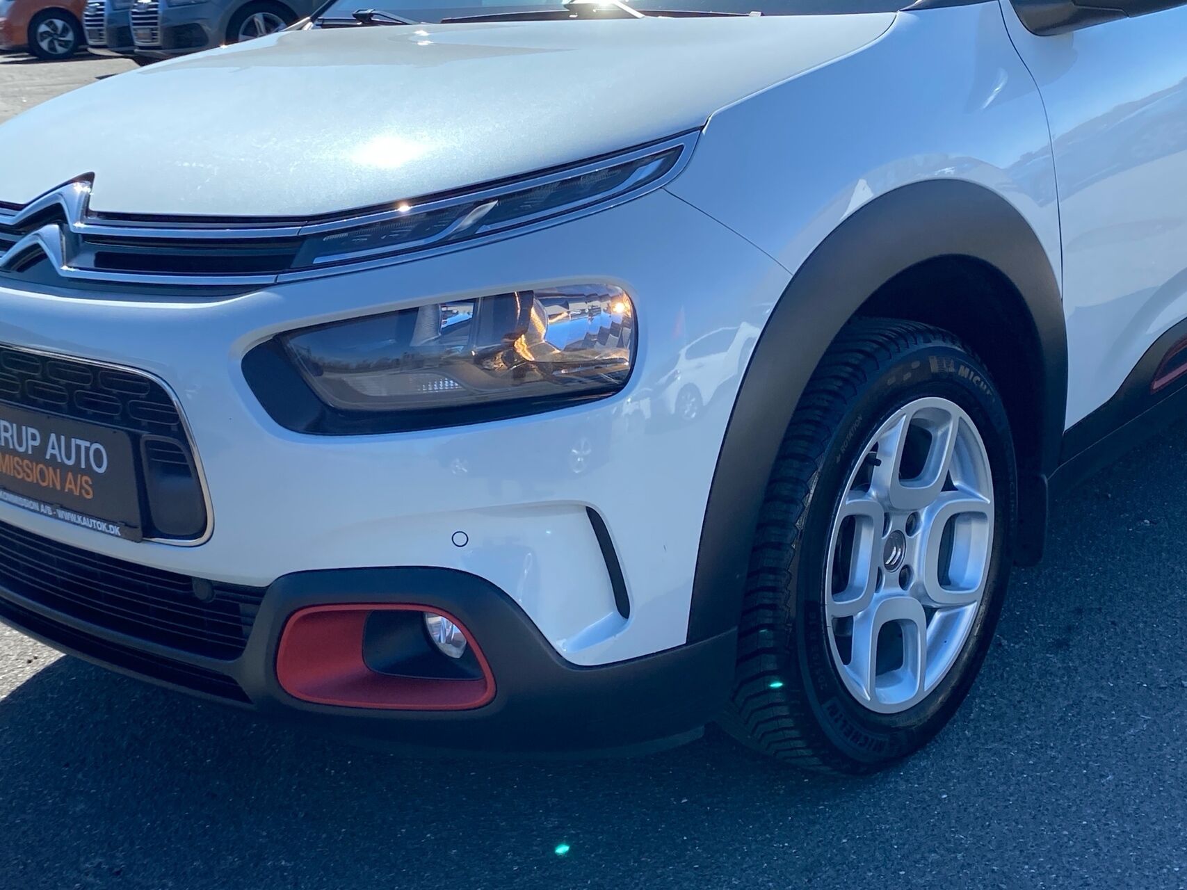 Billede af Citroën C4 Cactus 1,6 Blue HDi Skyline 100HK 5d
