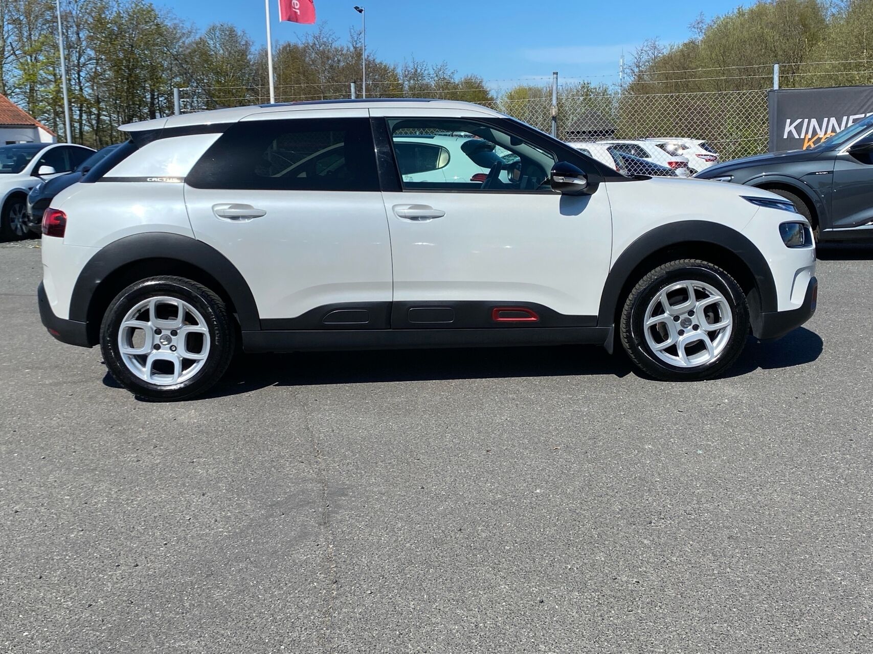 Billede af Citroën C4 Cactus 1,6 Blue HDi Skyline 100HK 5d