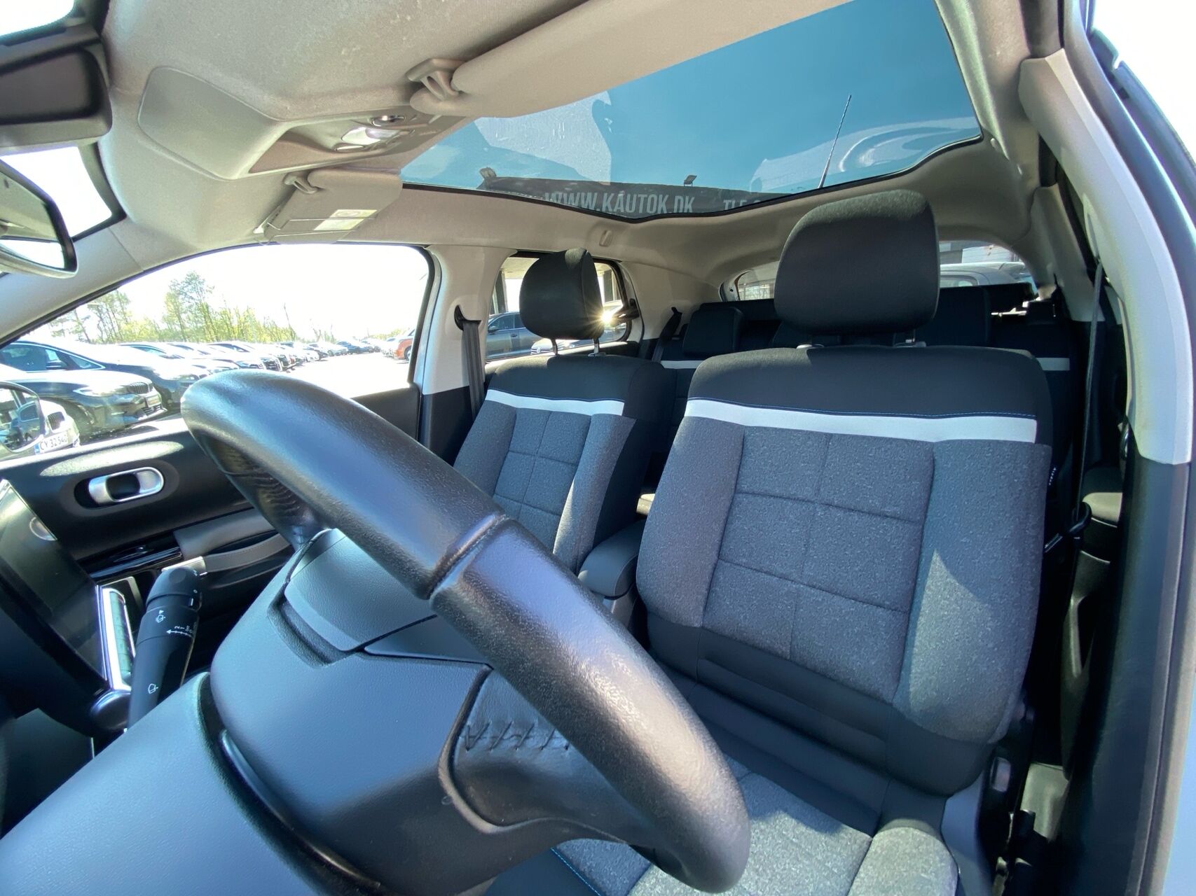 Billede af Citroën C4 Cactus 1,6 Blue HDi Skyline 100HK 5d