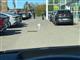 Billede af Mercedes-Benz EQA 250+ EL AMG Premium 190HK 5d Aut.