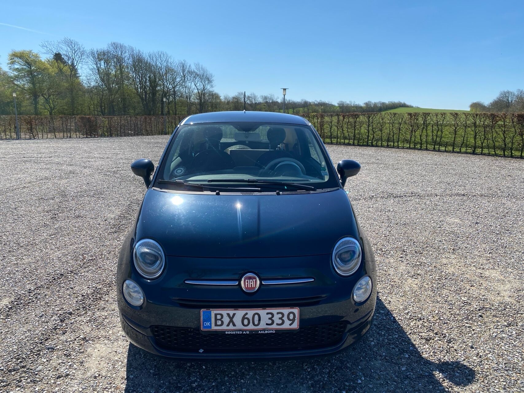 Billede af Fiat 500 0,9 TwinAir Collezione Start & Stop 80HK 3d