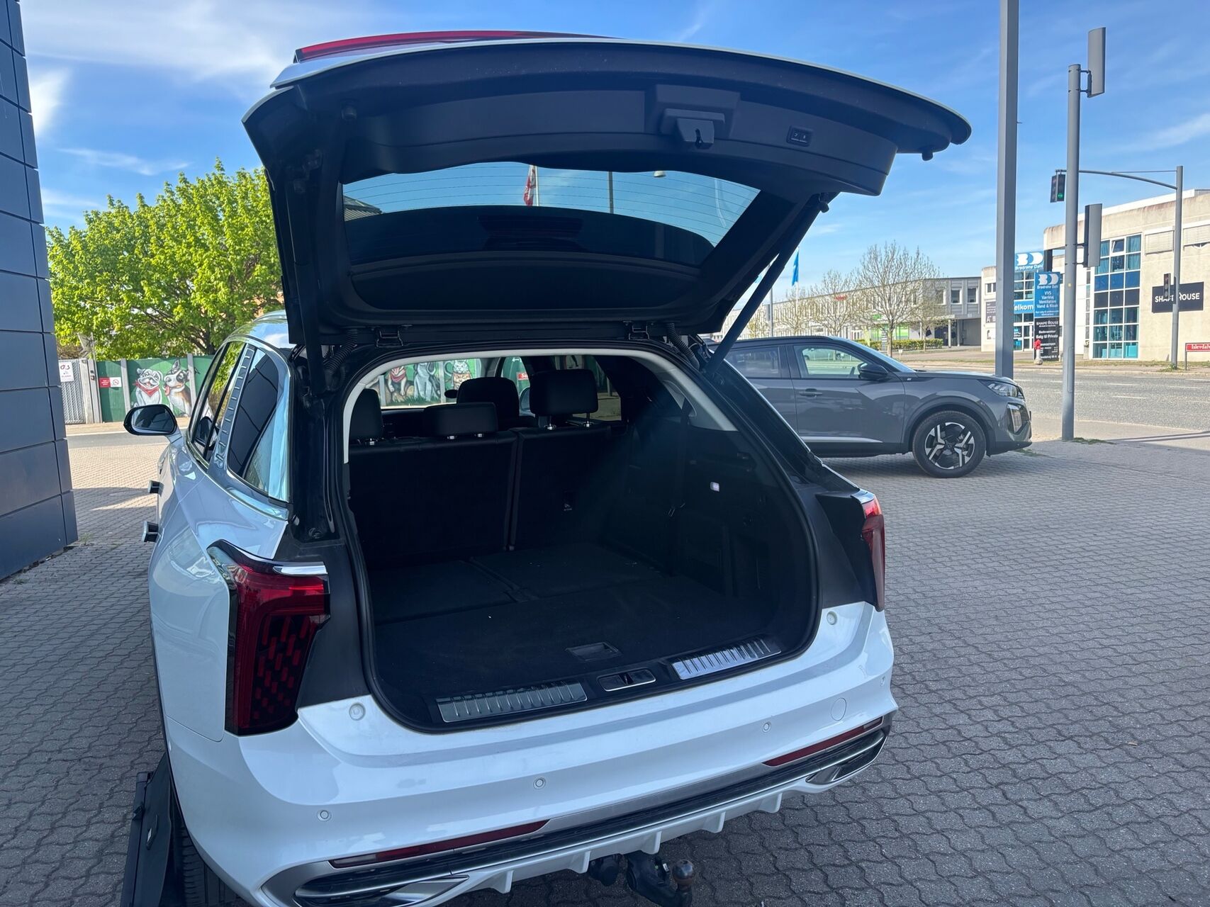 Billede af Hongqi E-HS9 EL Premium 4x4 551HK 5d Aut.