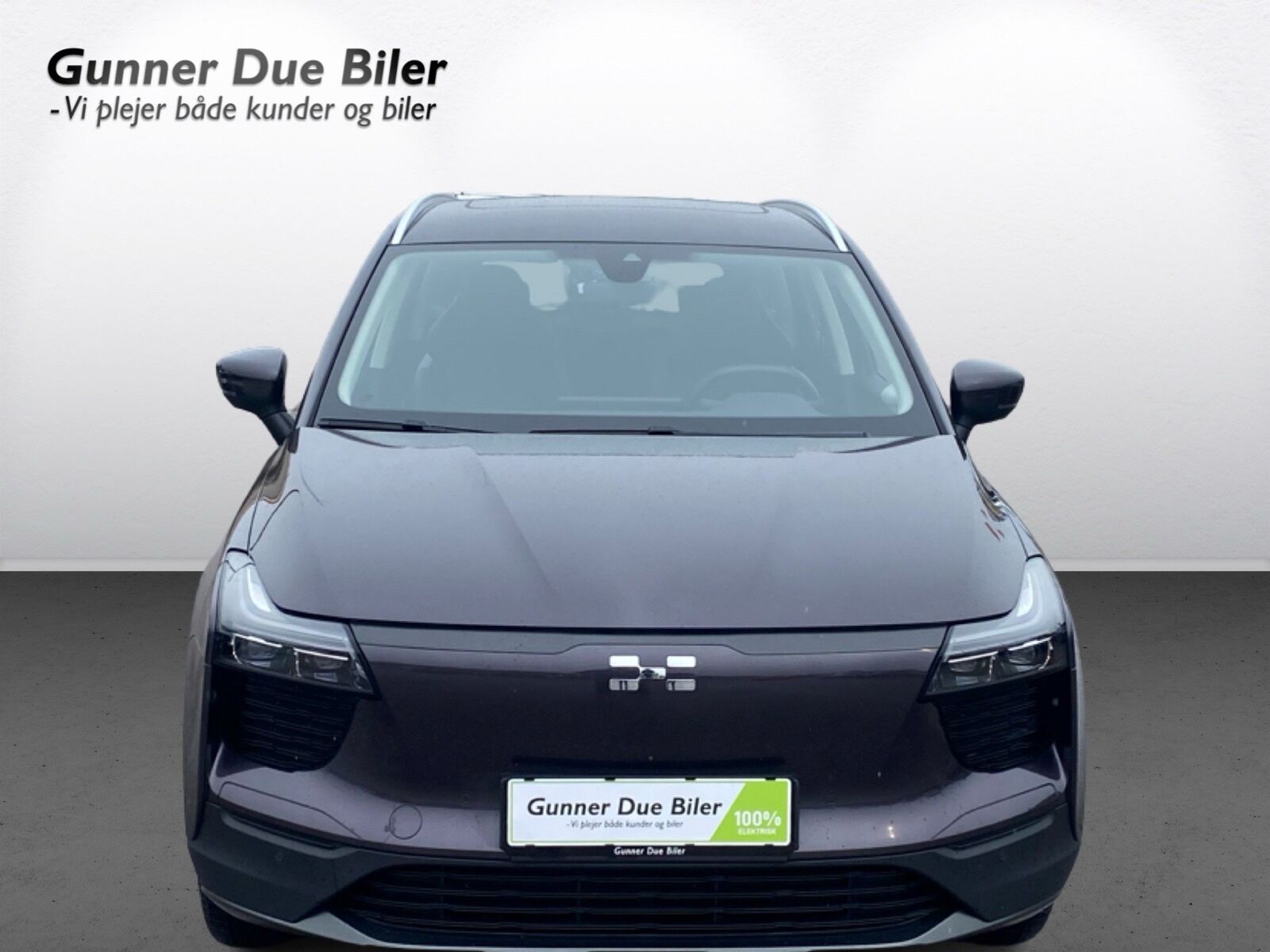 Billede af Aiways U5 EL Limited 204HK 5d Aut.