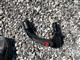 Billede af Renault Clio 1,0 TCE Intens 100HK 5d