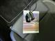 Billede af Ford Capri EL UR Premium AWD 340HK 5d Aut.