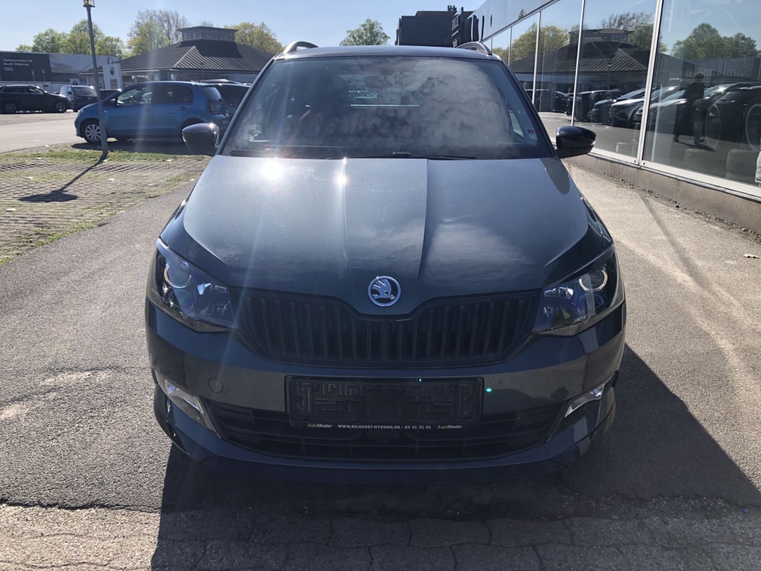 Billede af Skoda Fabia 1,2 TSI Monte Carlo 110HK 5d