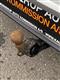 Billede af VW Golf 1,4 TSI  Plugin-hybrid GTE DSG 204HK 5d 6g Aut.