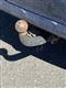 Billede af Skoda Octavia Combi 2,0 Commonrail DPF Ambiente 140HK Stc 6g