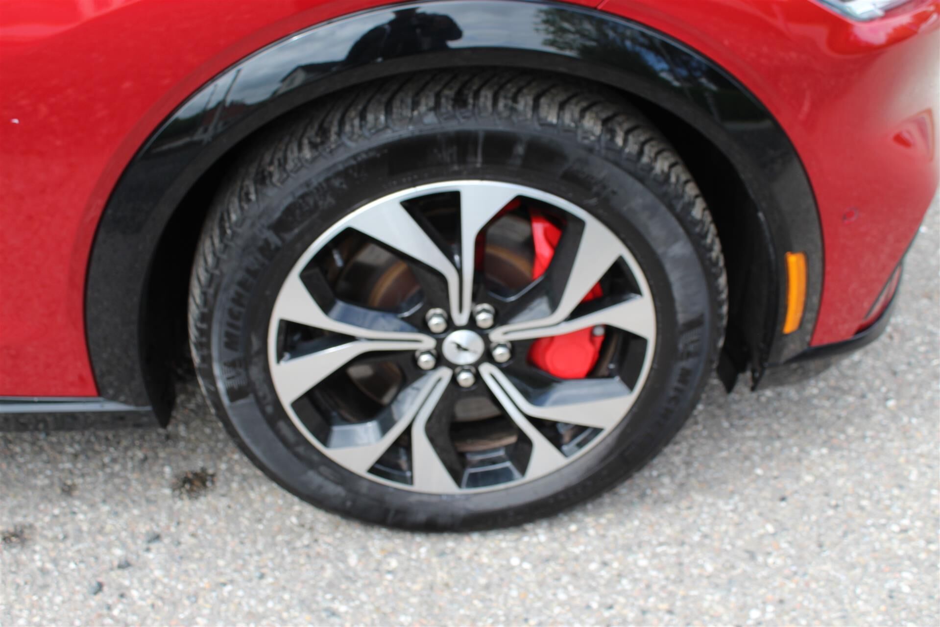 Billede af Ford Mustang Mach-E EL SR Premium AWD 269HK 5d Aut.