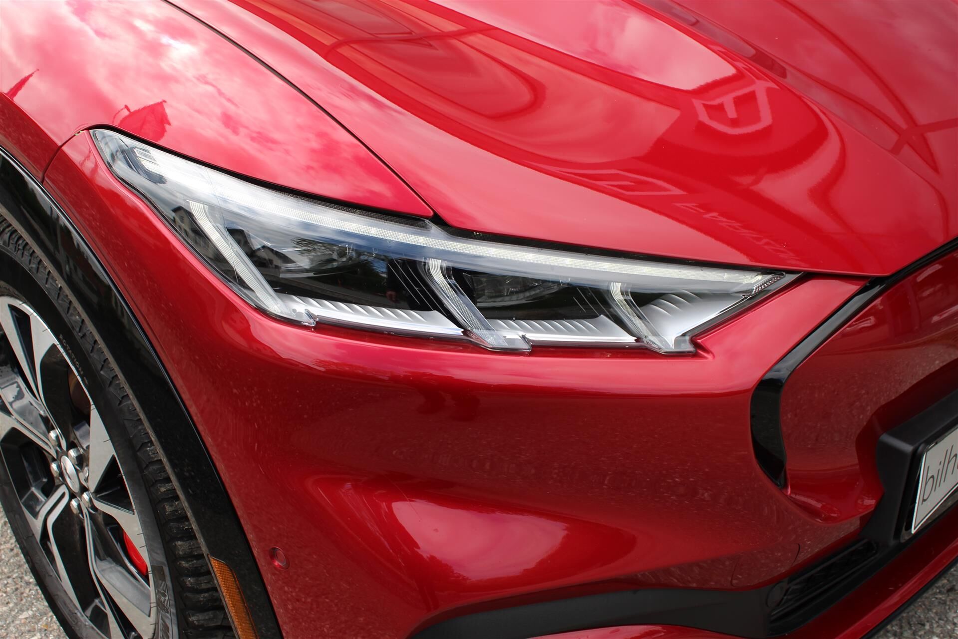 Billede af Ford Mustang Mach-E EL SR Premium AWD 269HK 5d Aut.