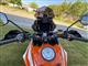 Billede af KTM 1290 Super Adventure 1290 R 160HK 6g