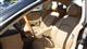 Billede af Mercedes-Benz CLS500 5,0 306HK 4d Aut.