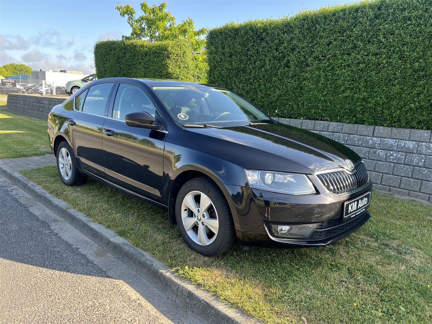 Billede af Skoda Octavia 1,0 TSI Style 115HK 5d 6g