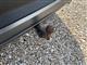Billede af Skoda Enyaq 80 iV Plus 204HK 5d Aut.