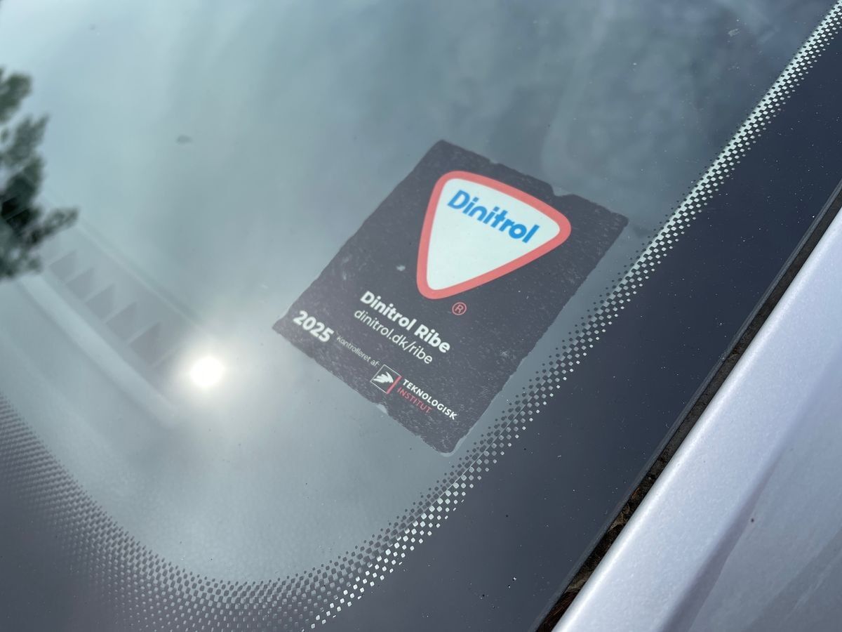 Billede af VW Polo 1,0 TSI Style DSG 110HK 5d 7g Aut.