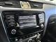 Billede af Skoda Octavia 1,6 TDI Common Rail DPF Elegance DSG 105HK 5d 7g Aut.