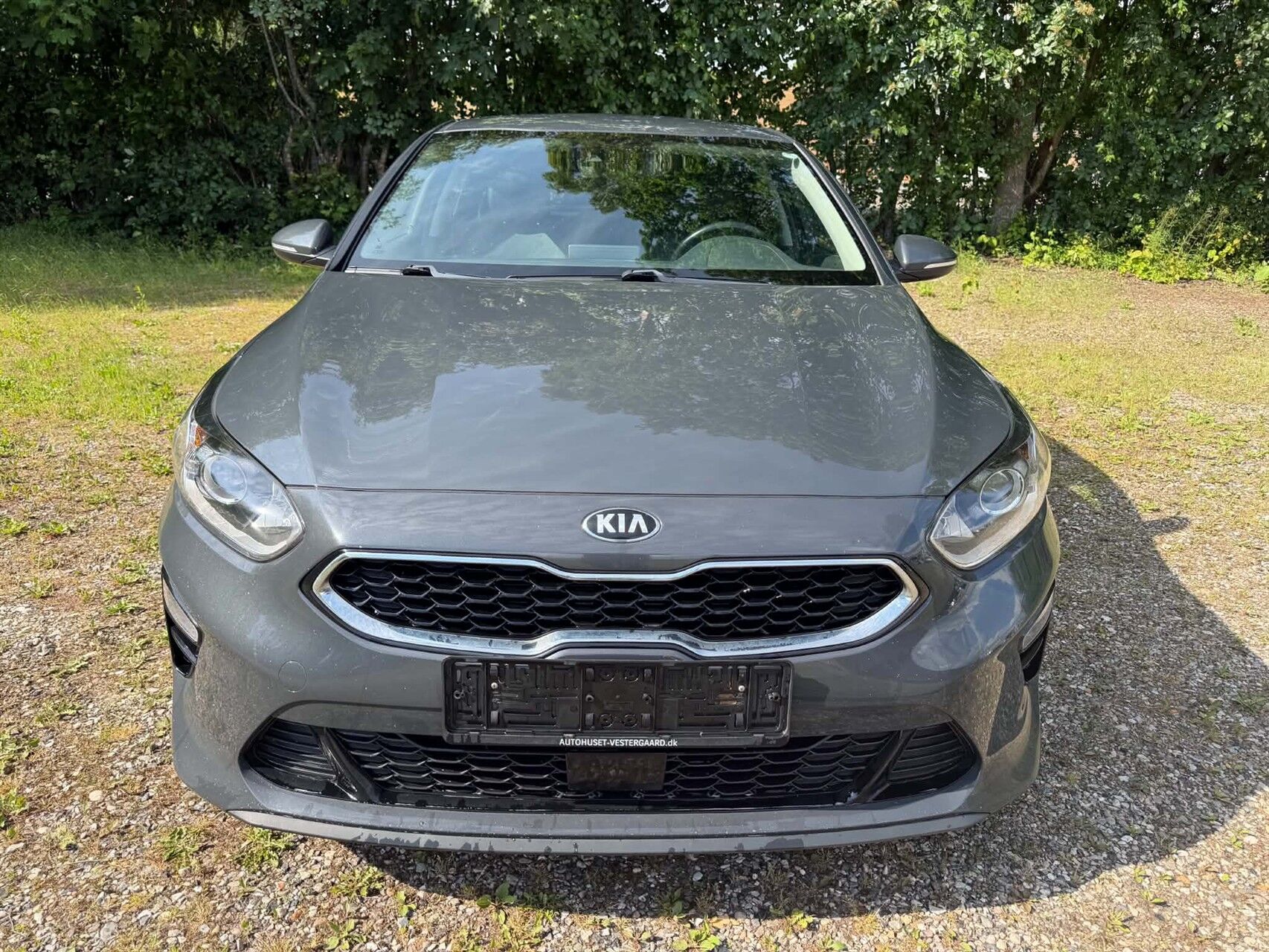 Billede af Kia Ceed 1,0 T-GDI Comfort 120HK 5d 6g
