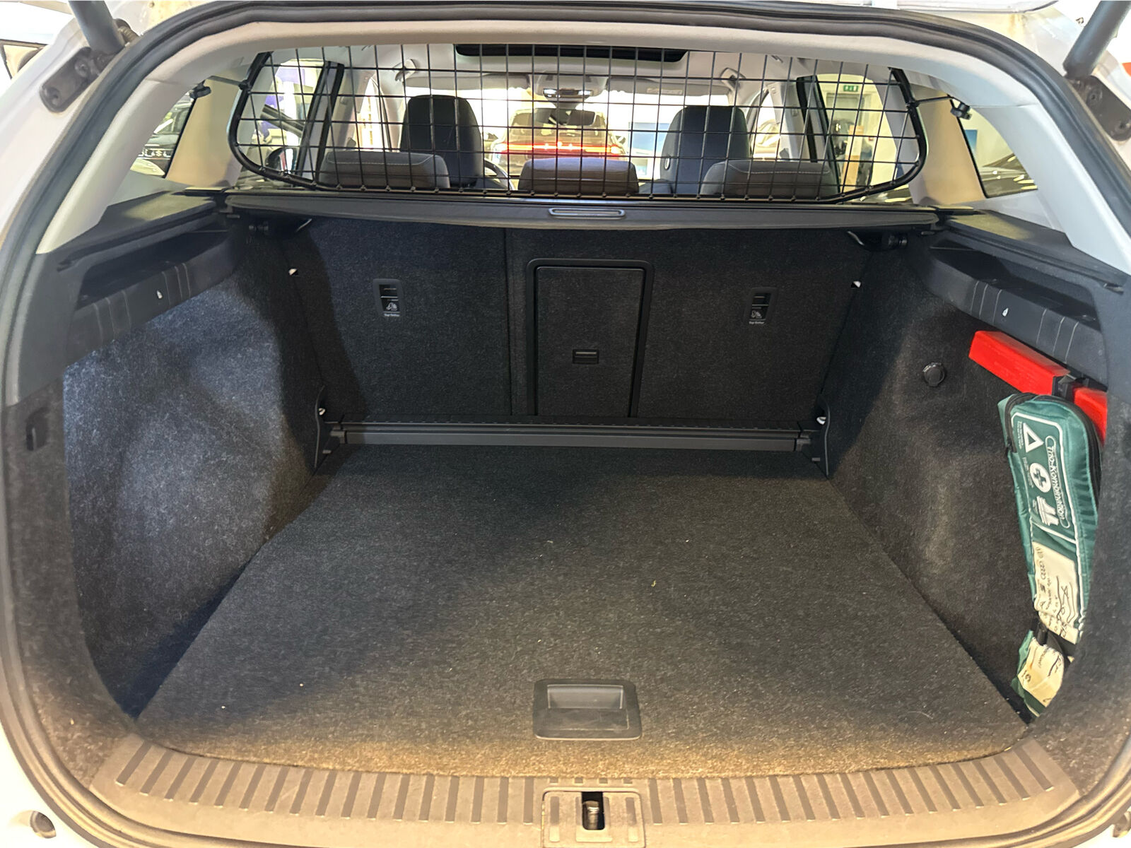 Billede af Skoda Enyaq 80X iV 4x4 265HK 5d Aut.