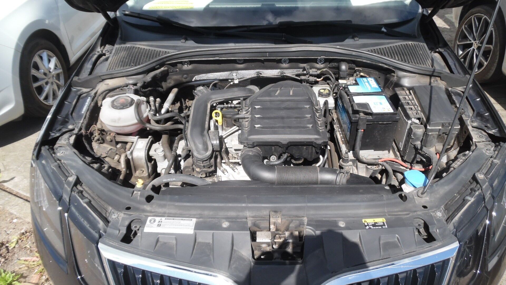 Billede af Skoda Octavia 1,0 TSI Style DSG 115HK 5d 7g Aut.