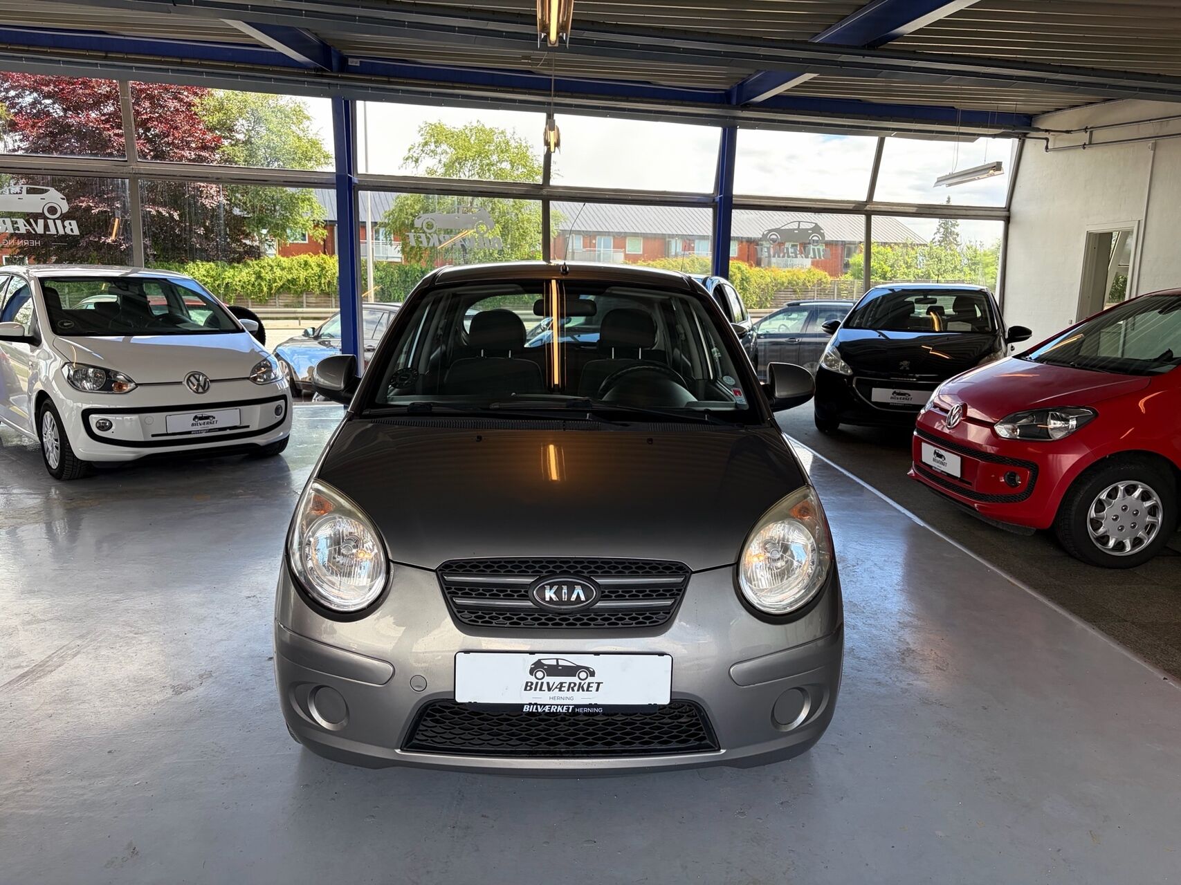 Billede af Kia Picanto 1,1 Motion 65HK 5d
