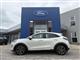 Billede af Ford Puma 1,0 EcoBoost Hybrid Titanium 125HK 5d 6g