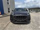 Billede af Ford Puma 1,0 EcoBoost Hybrid ST-Line 125HK 5d 6g
