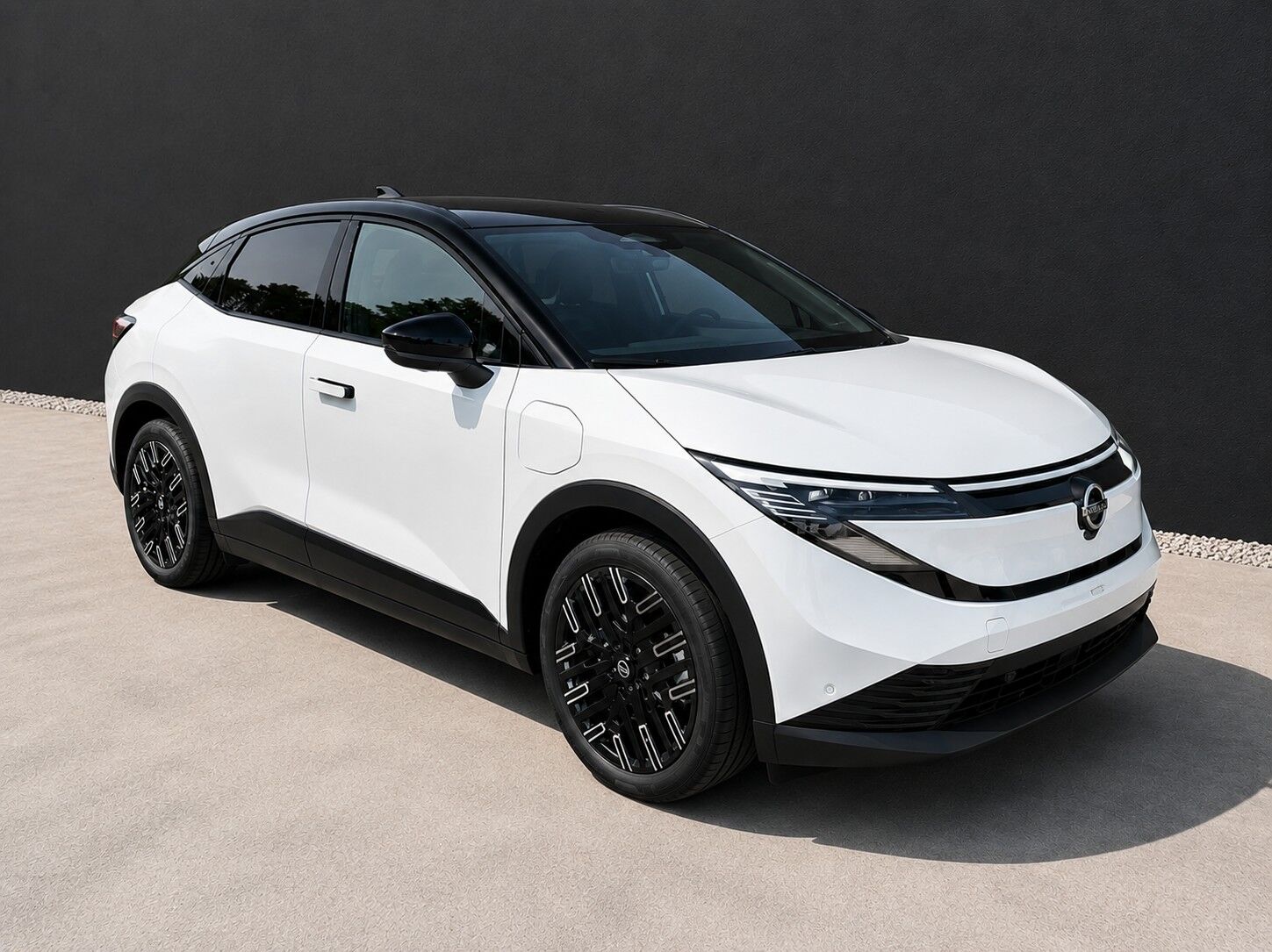 Billede af Nissan Leaf 75 kWh Evolve 217HK 5d Aut.