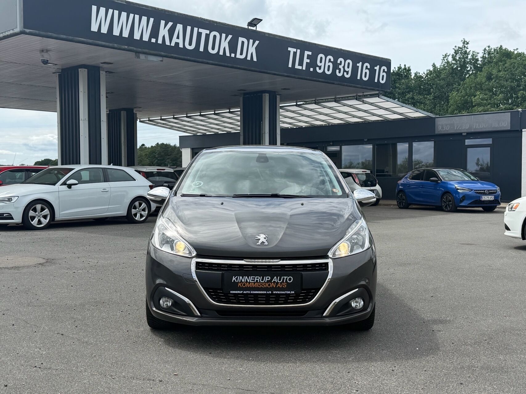 Billede af Peugeot 208 1,6 BlueHDi Selection Sky 100HK 5d