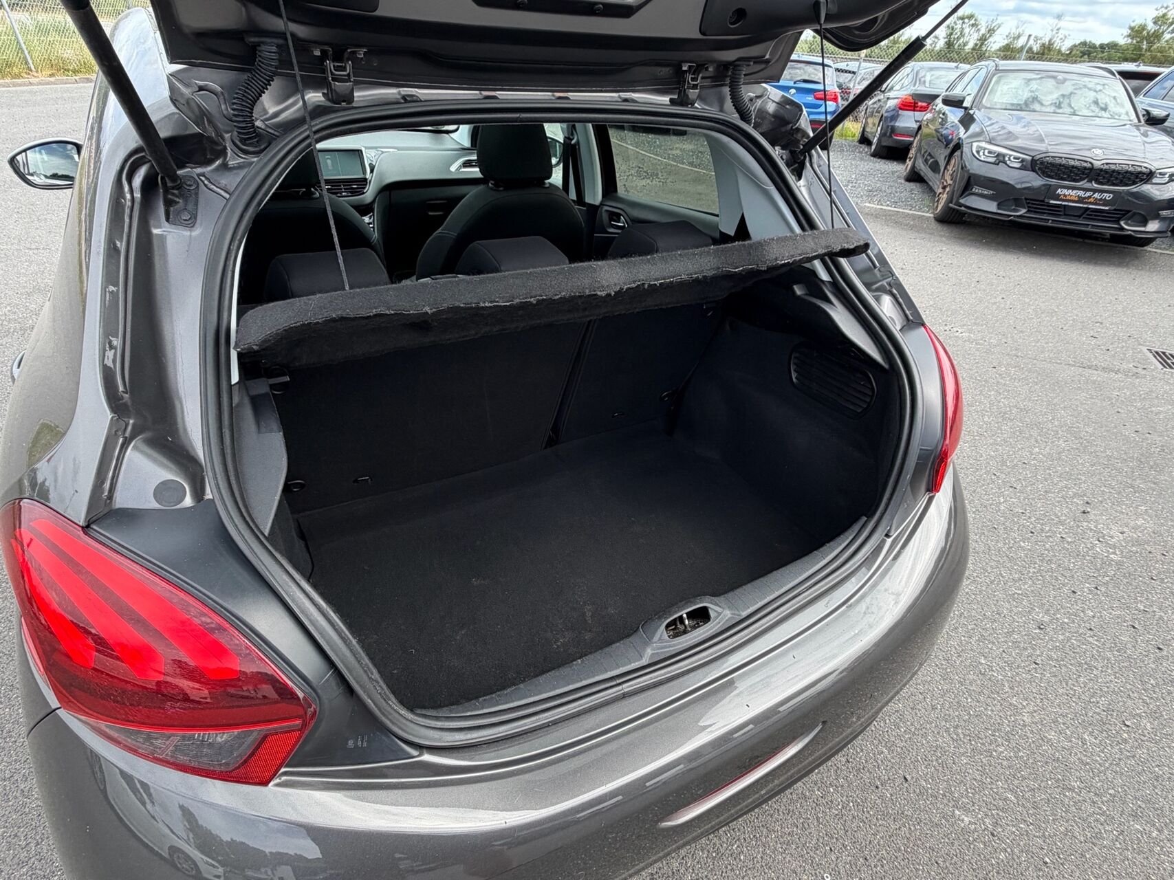 Billede af Peugeot 208 1,6 BlueHDi Selection Sky 100HK 5d