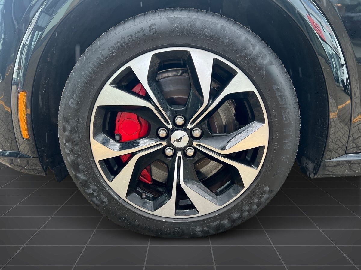 Billede af Ford Mustang Mach-E EL UR Premium 294HK 5d Aut.